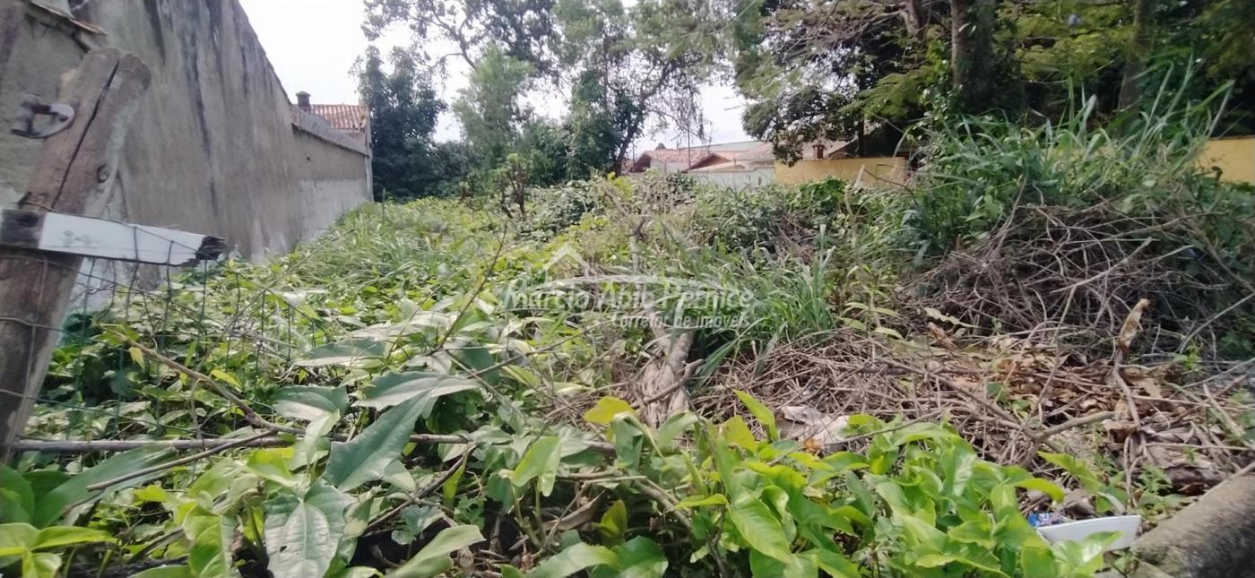 TERRES Centro - Peruibe (Cód. 4070) em Peruibe - foto 3