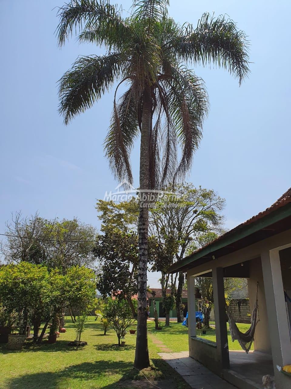 CH Leão Novaes - Peruibe (Cód. 4101) em Peruibe - foto 4