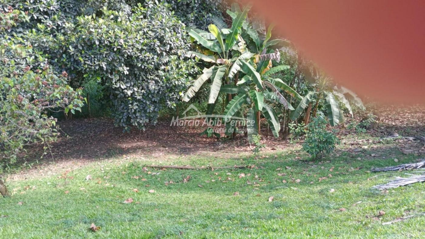 CH - Pedro de Toledo (Cód. 4216) - miniatura 6