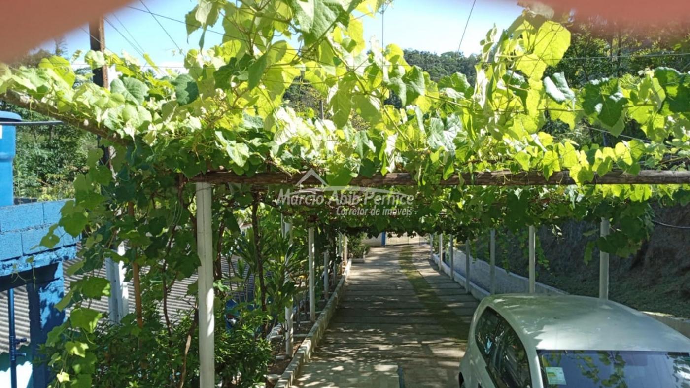 CH - Pedro de Toledo (Cód. 4216) - miniatura 10