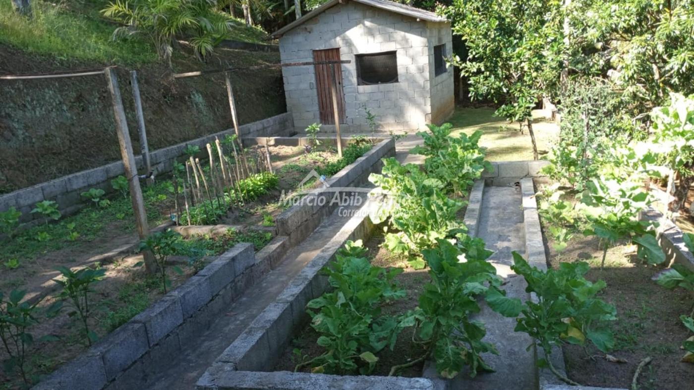 CH - Pedro de Toledo (Cód. 4216) - miniatura 11