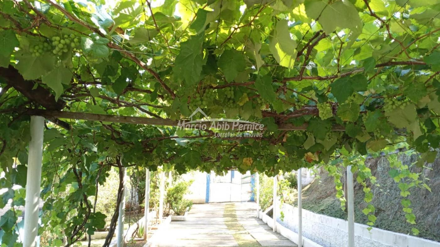 CH - Pedro de Toledo (Cód. 4216) - miniatura 12