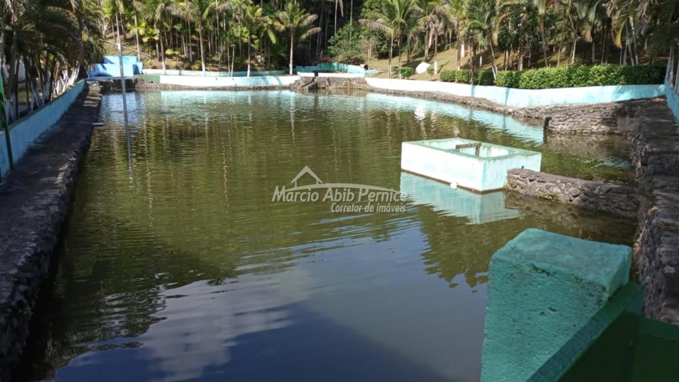 CH - Pedro de Toledo (Cód. 4216) - miniatura 17