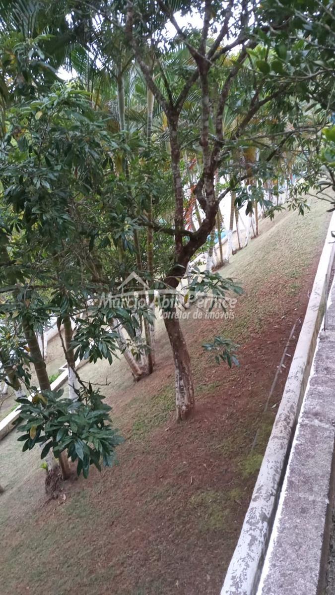 CH - Pedro de Toledo (Cód. 4216) - miniatura 20