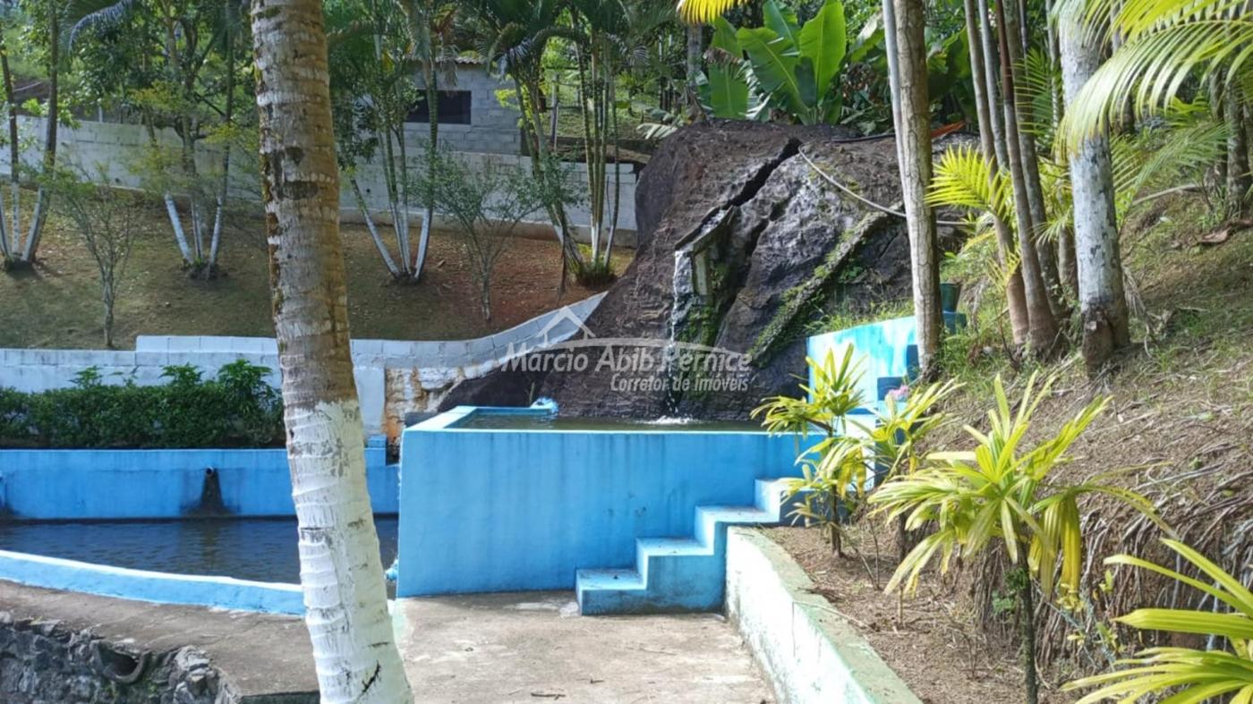 CH - Pedro de Toledo (Cód. 4216) - miniatura 23