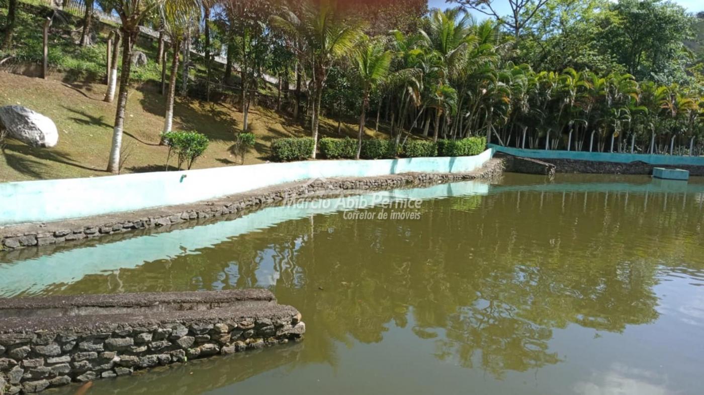 CH - Pedro de Toledo (Cód. 4216) - miniatura 24