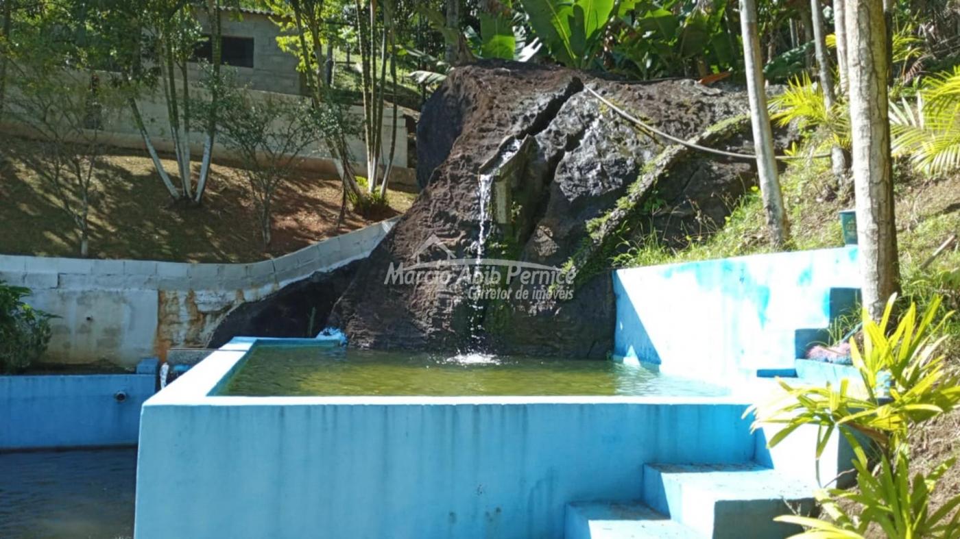 CH - Pedro de Toledo (Cód. 4216) - miniatura 26