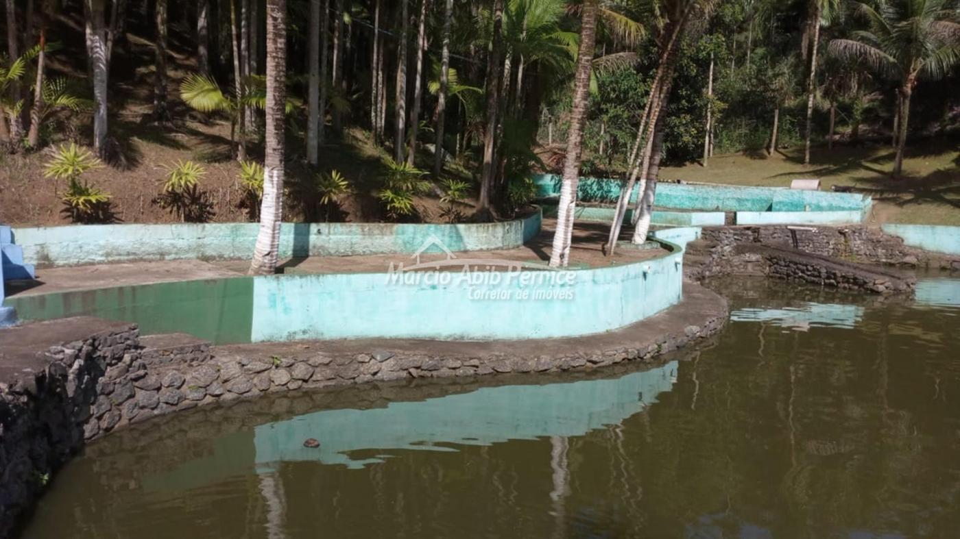 CH - Pedro de Toledo (Cód. 4216) - miniatura 31