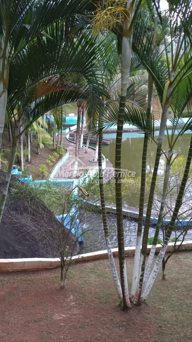 CH - Pedro de Toledo (Cód. 4216) - miniatura 33