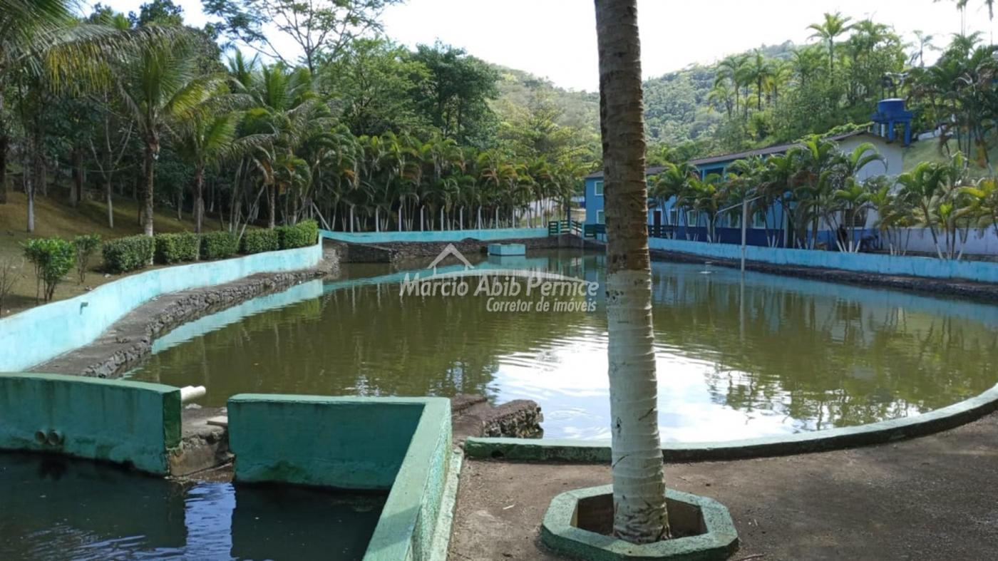 CH - Pedro de Toledo (Cód. 4216) - miniatura 35