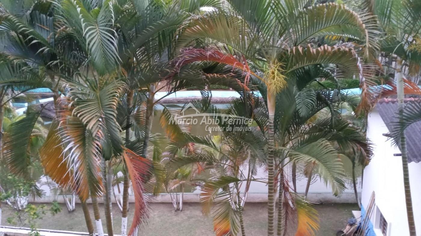 CH - Pedro de Toledo (Cód. 4216) - miniatura 36