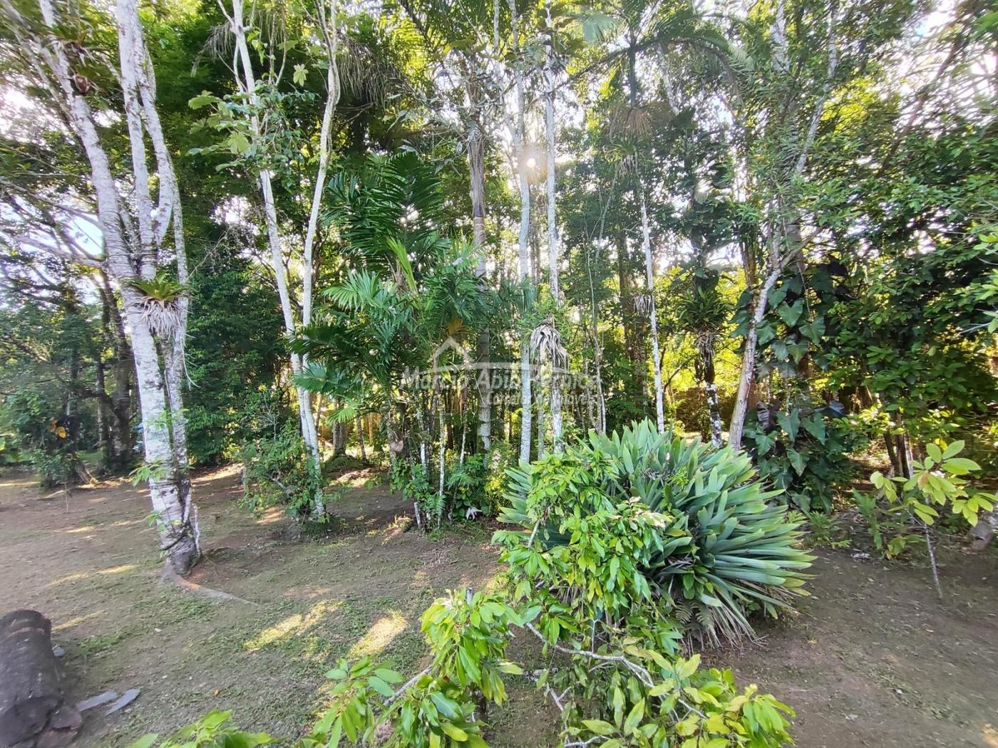 TERRES Cond. São Marcos - Peruibe (Cód. 4391) - miniatura 6