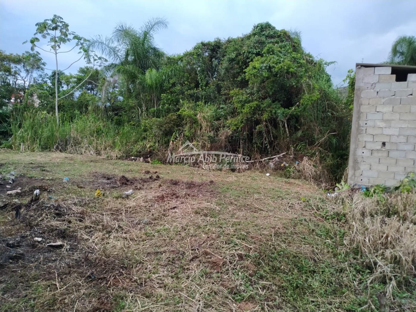 TERRES Maria Helena Novaes - Peruibe (Cód. 4410) - miniatura 6