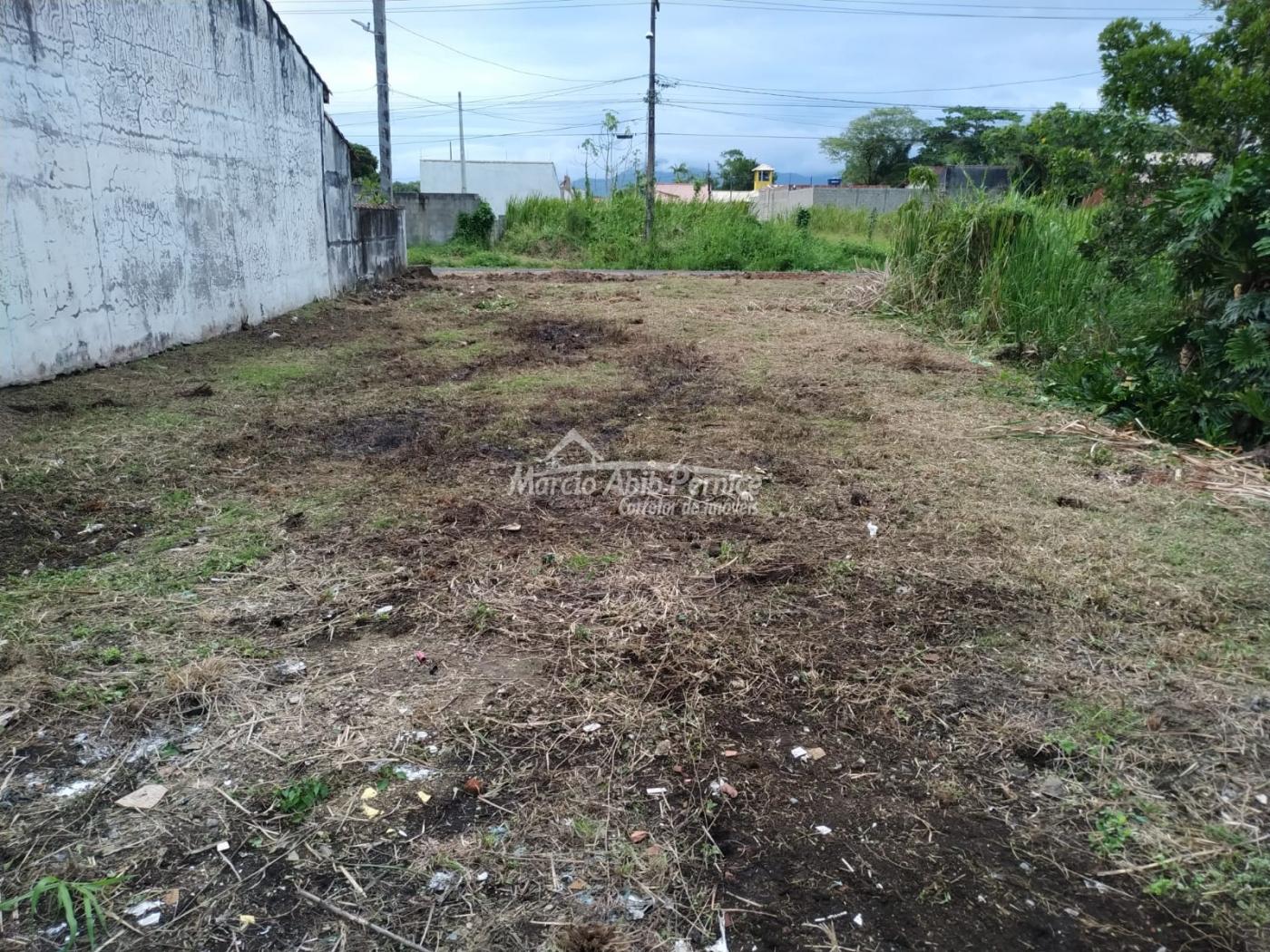 TERRES Maria Helena Novaes - Peruibe (Cód. 4410) - miniatura 12