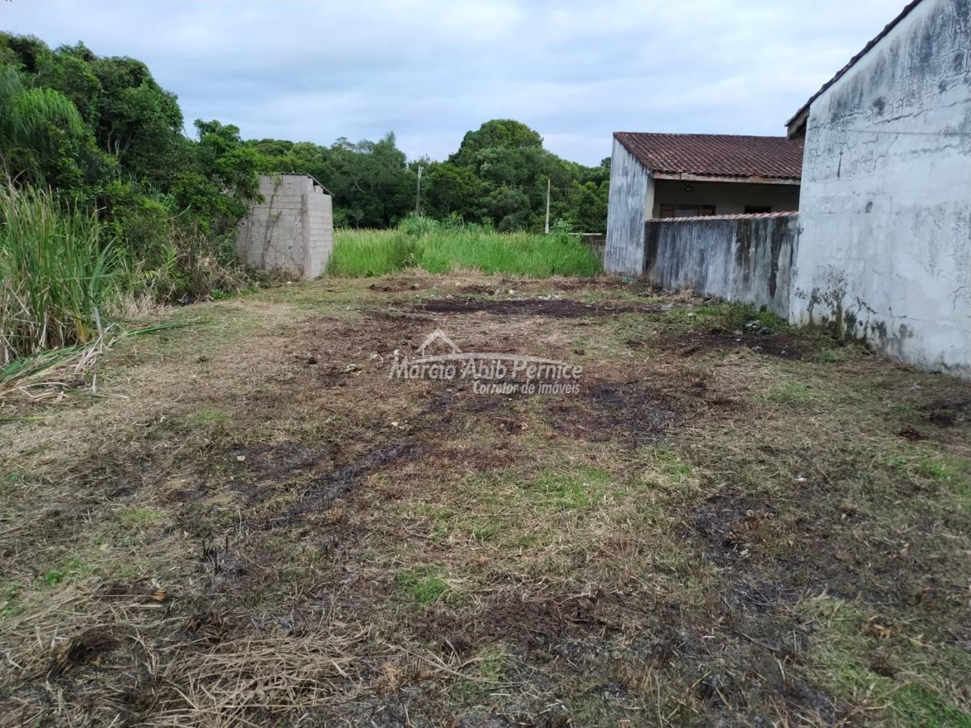 TERRES Maria Helena Novaes - Peruibe (Cód. 4410) - miniatura 11