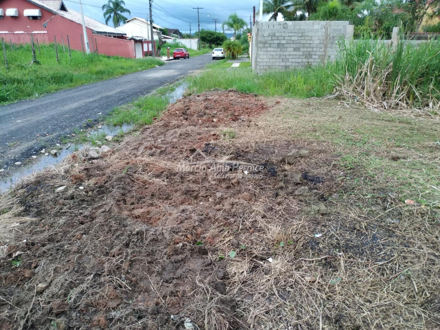 TERRES Maria Helena Novaes - Peruibe (Cód. 4410) - miniatura 13