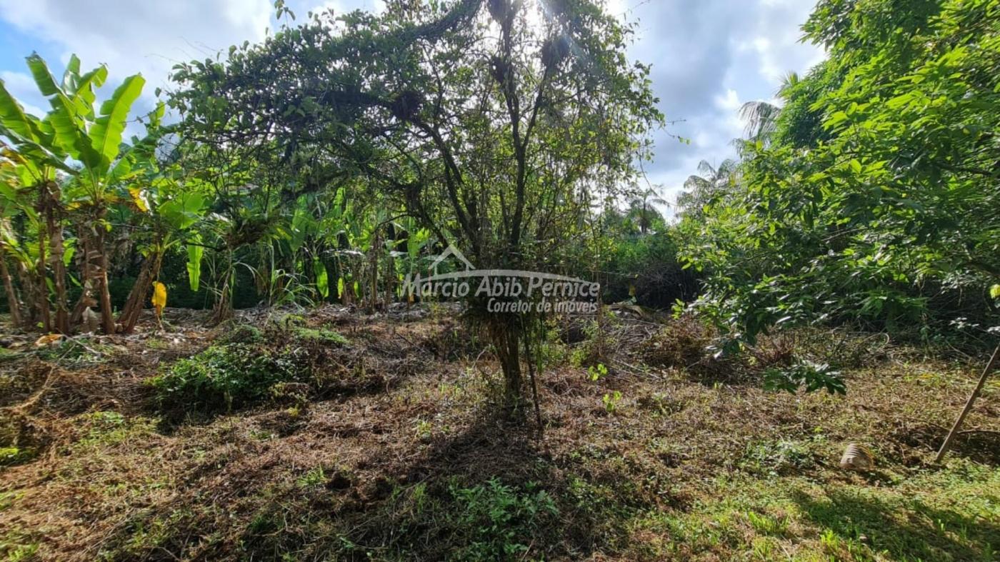 CH Iporanga - Peruibe (Cód. 3986) em Peruibe - foto 3