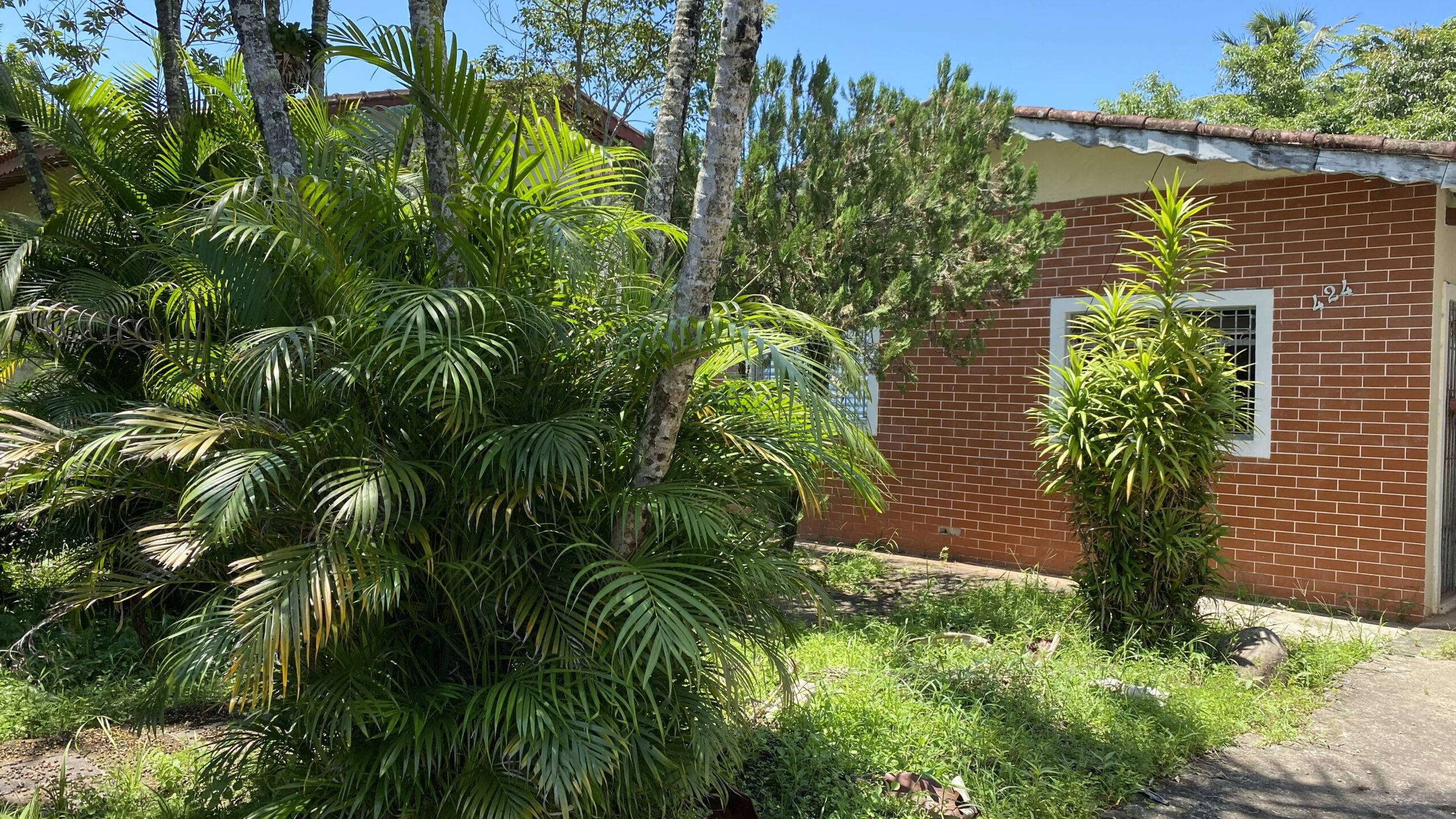 CS Jardim Ribamar - Peruibe (Cód. 4690) em Peruibe - foto 2