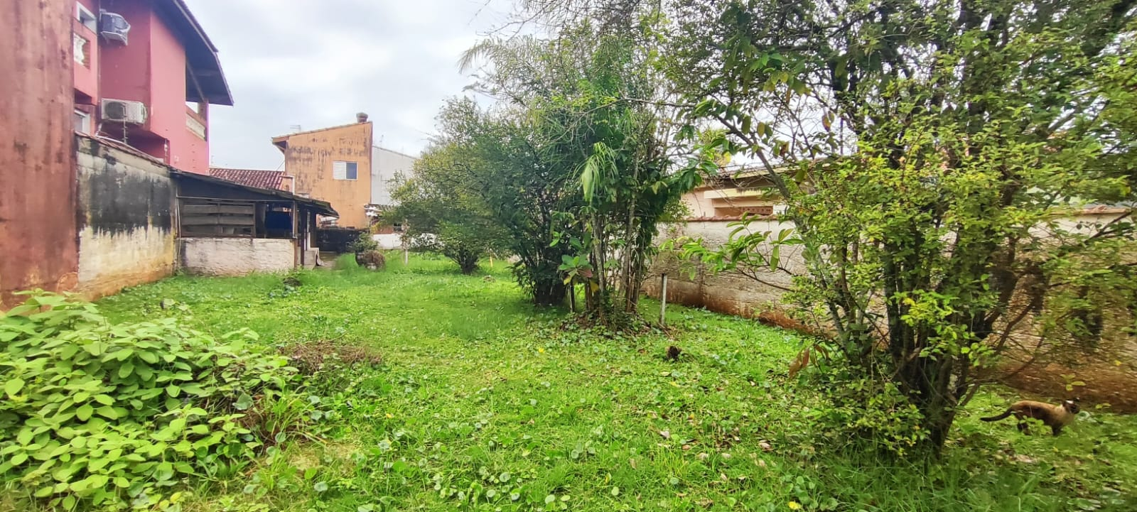 TERRES Josedy - Peruibe (Cód. 4483) em Peruibe - foto 5