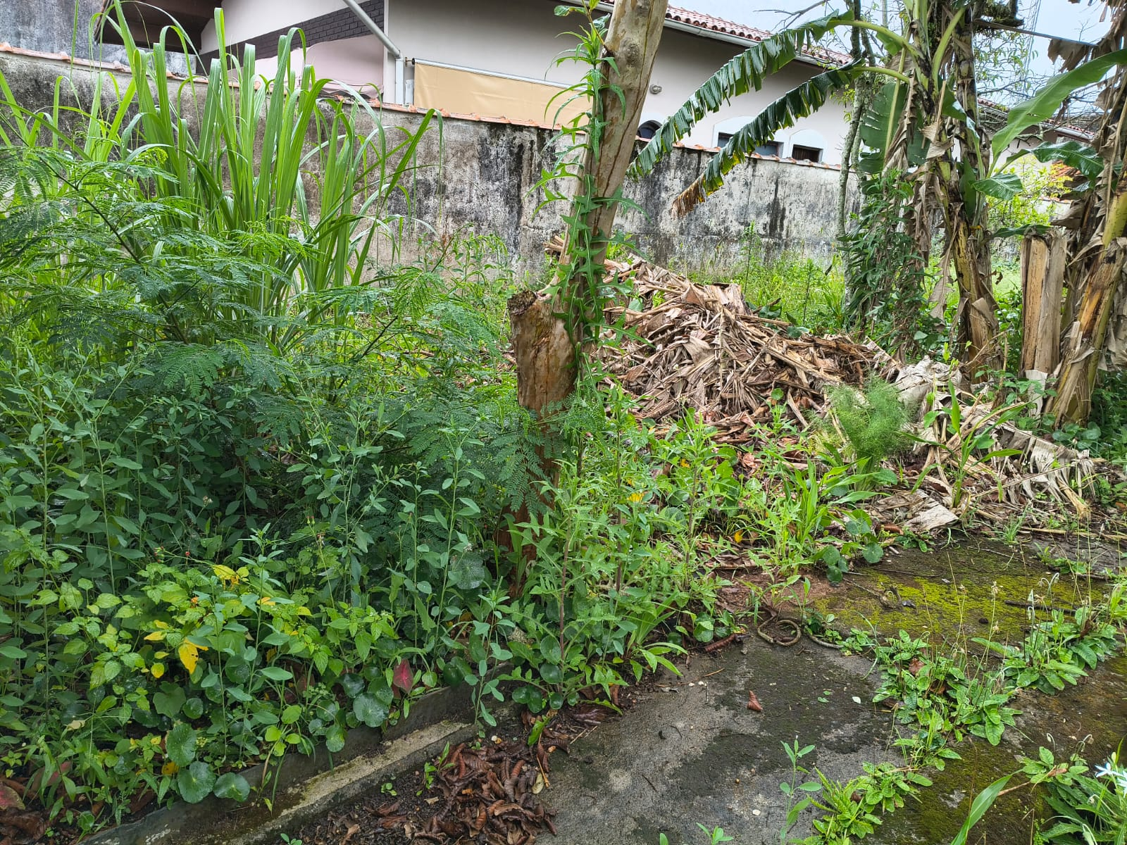 TERRES Oásis - Peruibe (Cód. 4719) em Peruibe - foto 3