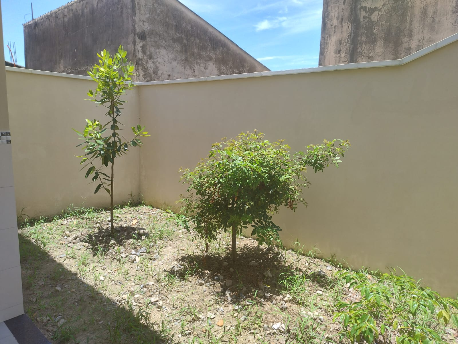 CS Park D'aville - Peruibe (Cód. 4753) - miniatura 11