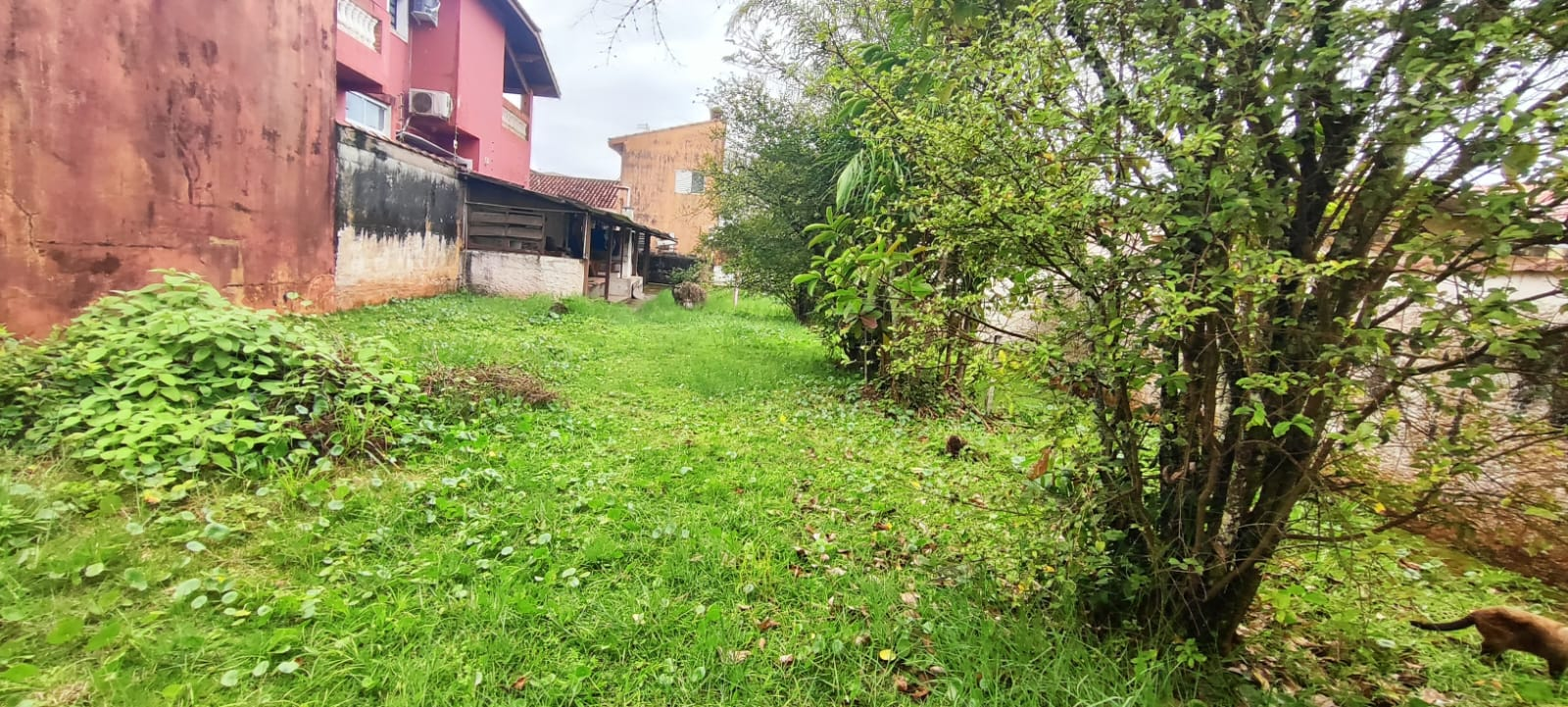 TERRES Josedy - Peruibe (Cód. 4483) - miniatura 6