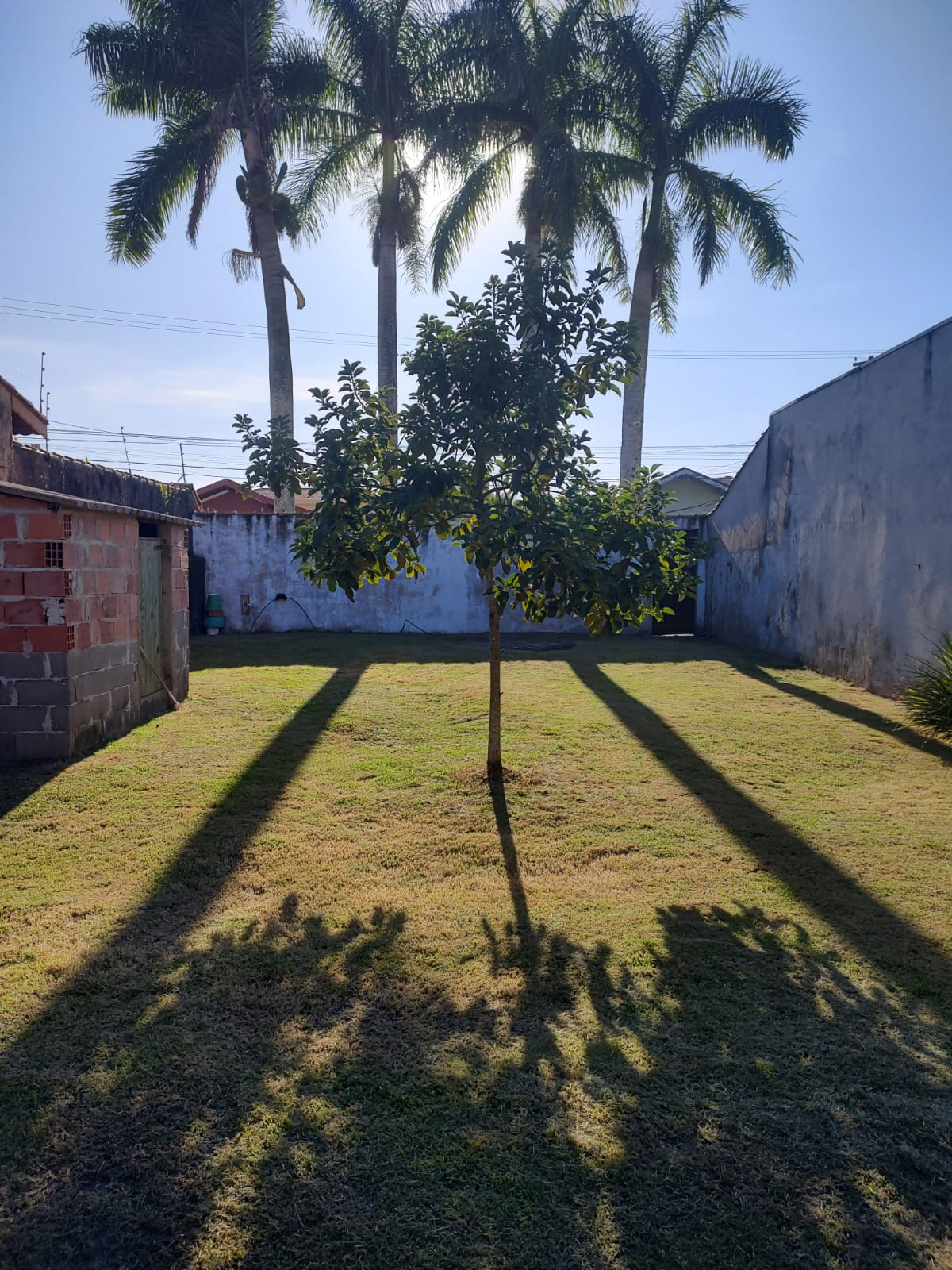 TERRES Josedy - Peruibe (Cód. 4780) em Peruibe - foto 4