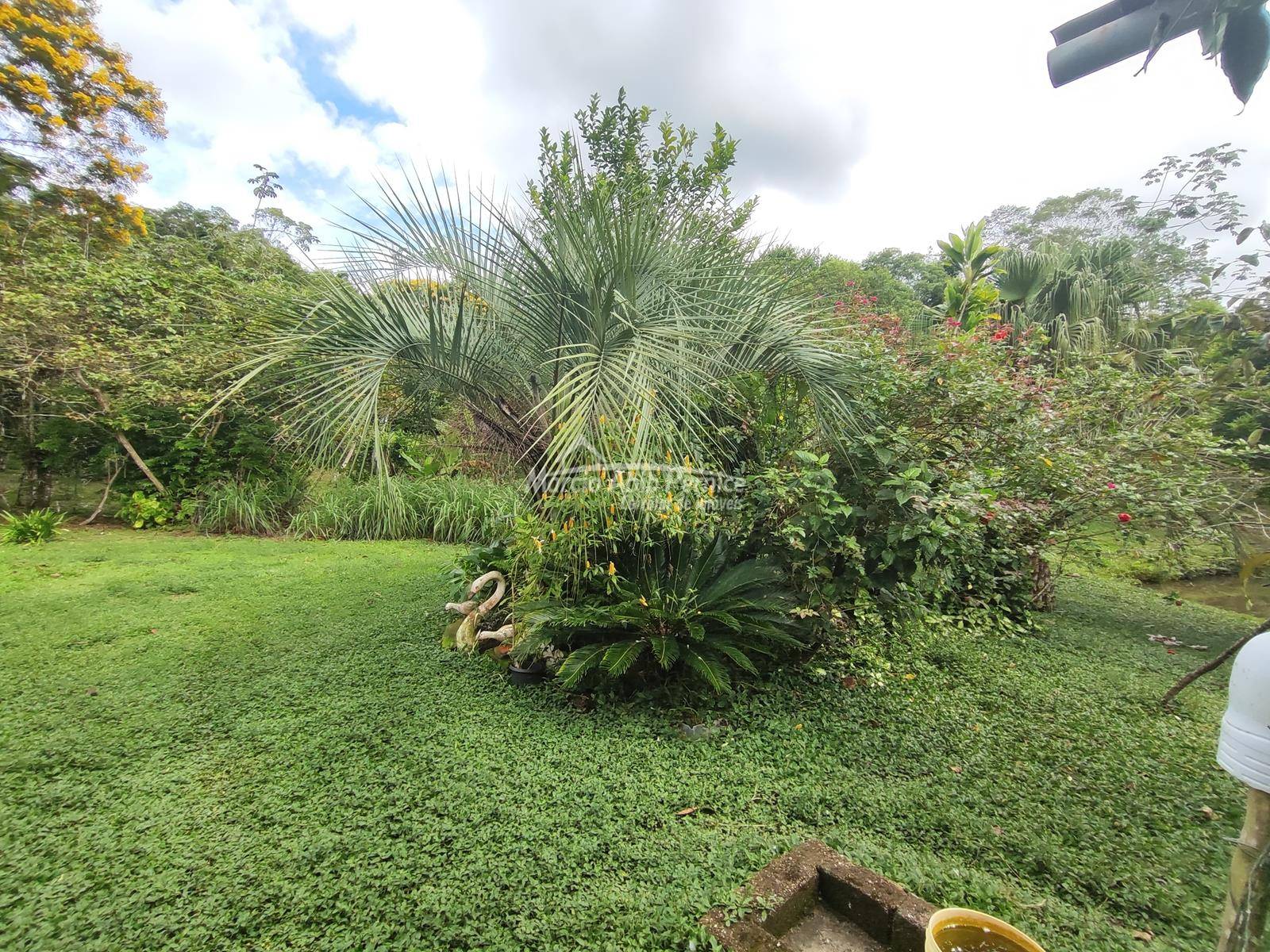 CH Vila Peruibe - Peruibe (Cód. 4417) - miniatura 15