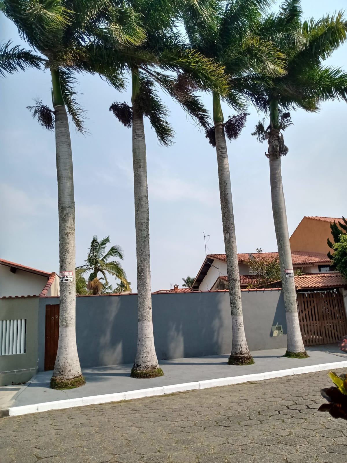 TERRES Josedy - Peruibe (Cód. 4780) - miniatura 7