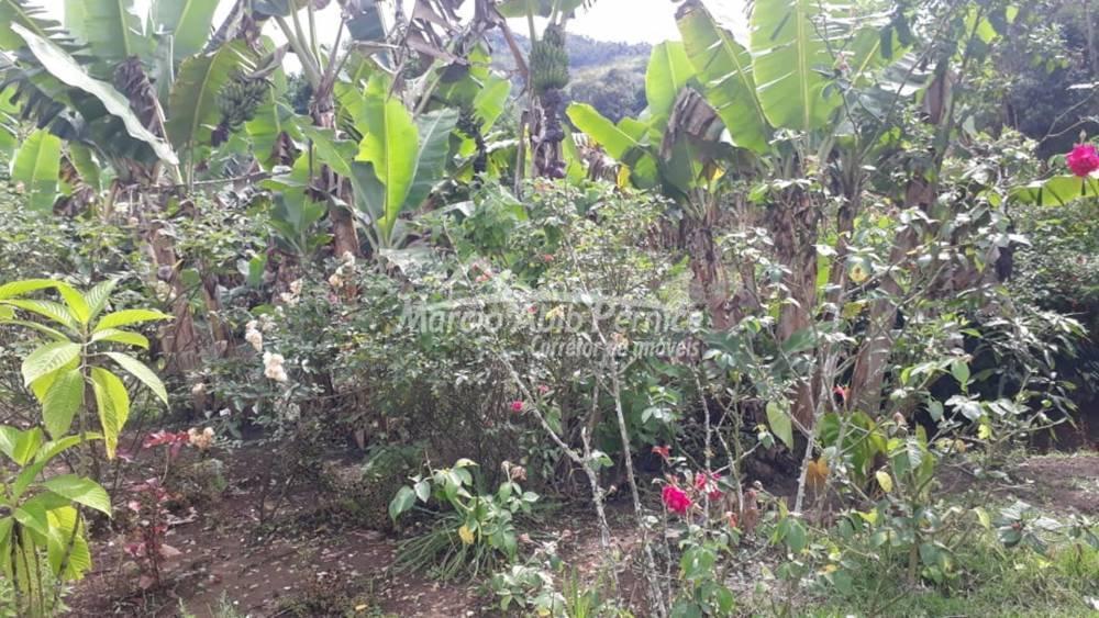 - Itariri (Cód. 3701) - miniatura 6