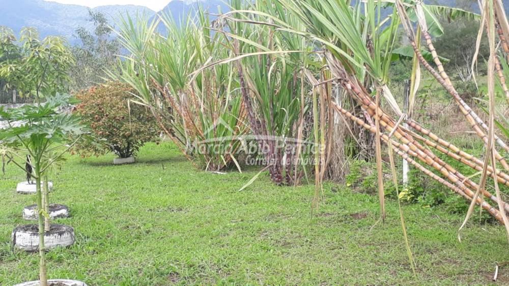 - Itariri (Cód. 3701) - miniatura 9