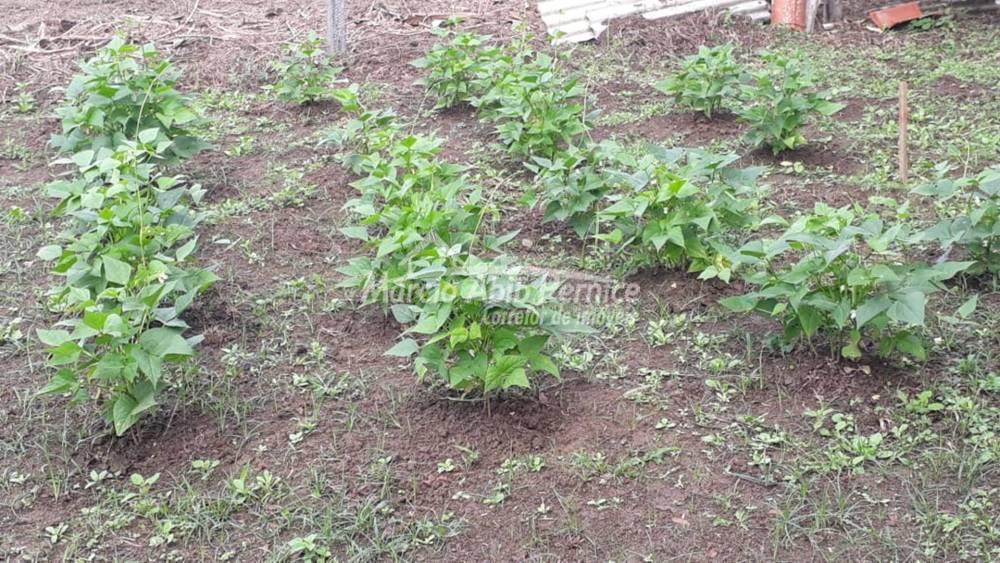 - Itariri (Cód. 3701) - miniatura 10