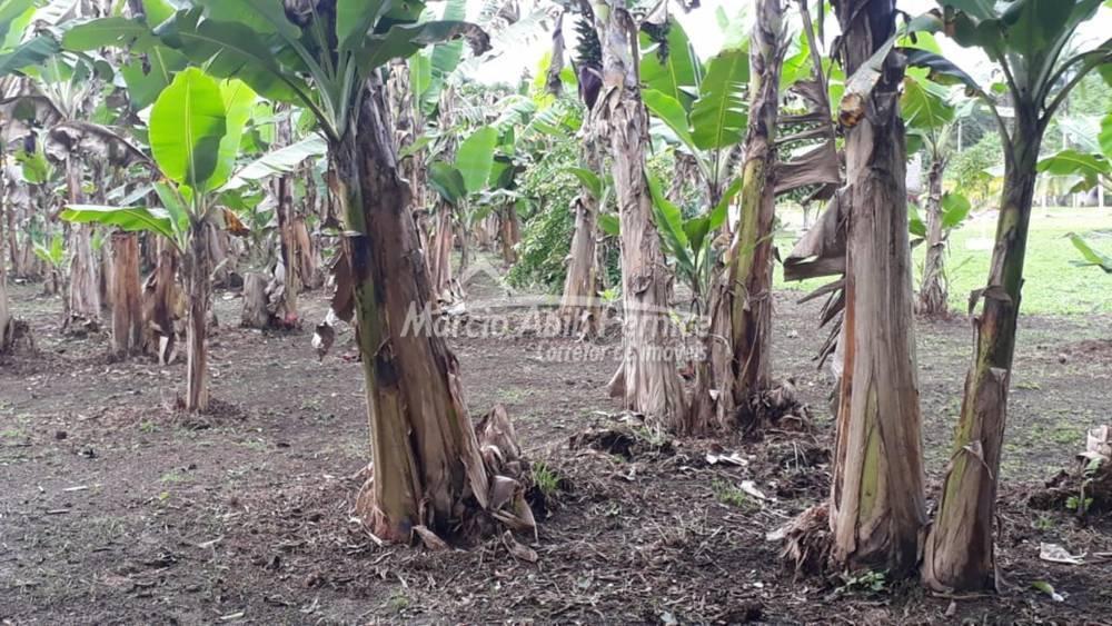 - Itariri (Cód. 3701) - miniatura 8