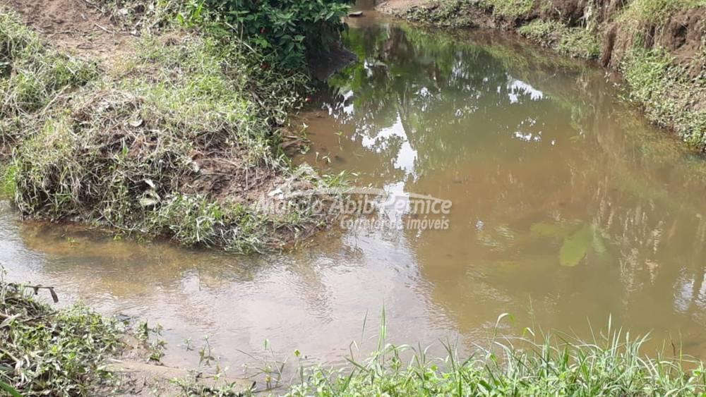 - Itariri (Cód. 3701) - miniatura 7