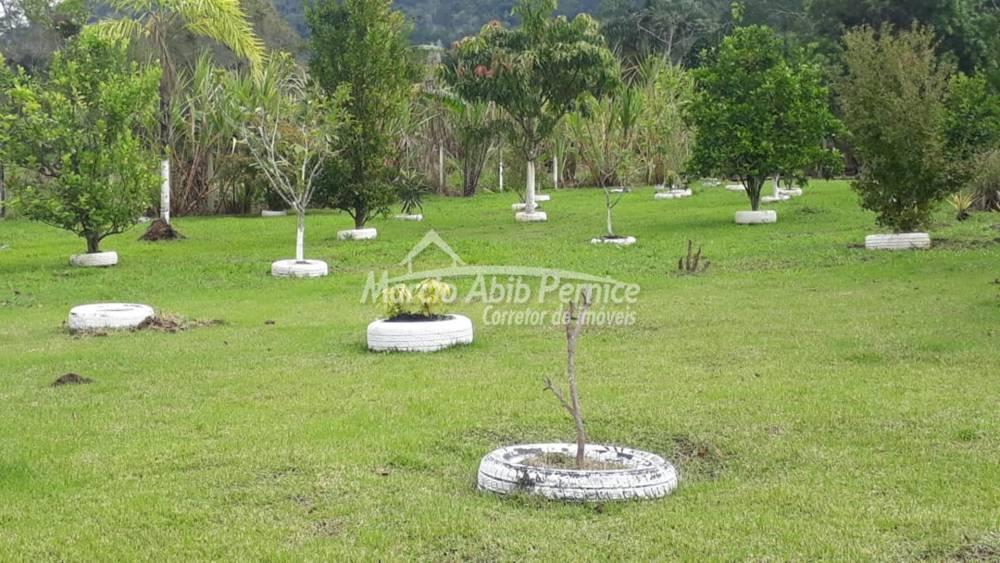 - Itariri (Cód. 3701) - miniatura 20