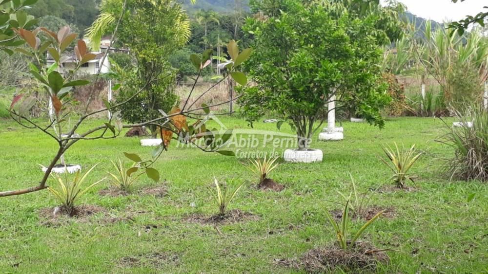 - Itariri (Cód. 3701) - miniatura 18