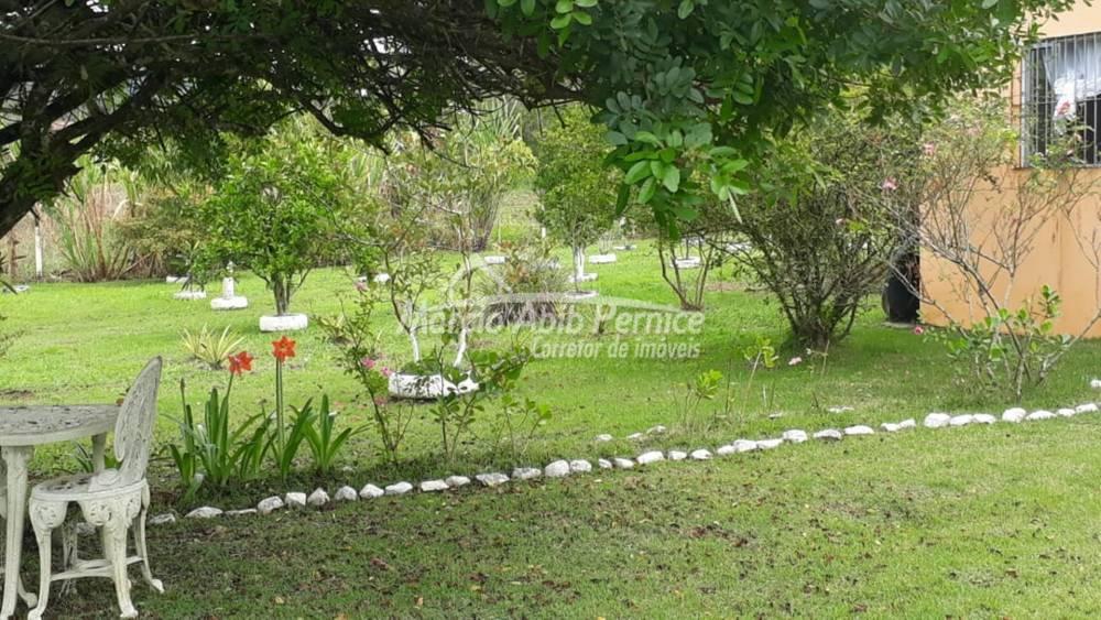 - Itariri (Cód. 3701) - miniatura 19