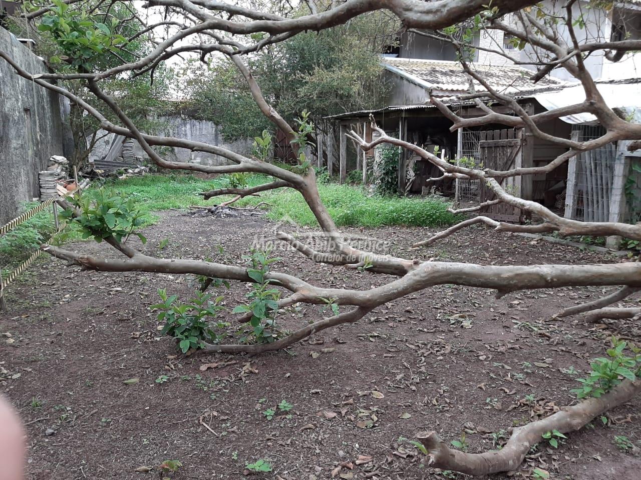 TERRES Três Marias - Peruibe (Cód. 3966) em Peruibe - foto 3